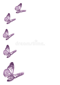 五只紫色蝴蝶
