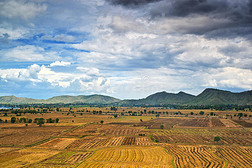 泰国乡村农业景观