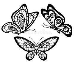 一组美丽的黑白蝴蝶
