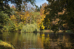 波兰华沙美丽的秋季拉齐恩基克罗夫斯基公园