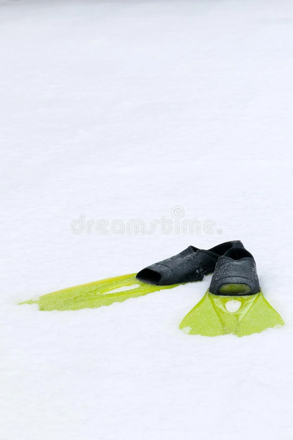 躺在雪地上的鳍状肢概念照片