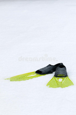 躺在雪地上的鳍状肢，概念照片