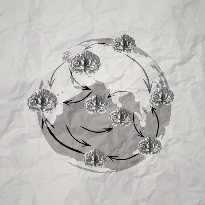 三维金属大脑作为社会网络结构