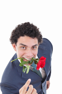 自信的男人诱惑者穿着西装嘴里叼着一朵红玫瑰