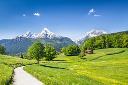 德国巴伐利亚阿尔卑斯山田园诗般的夏季风景