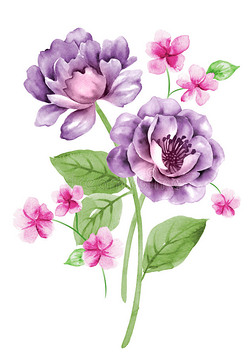 简单花卉插画|水彩画插画花卉在简单的背景