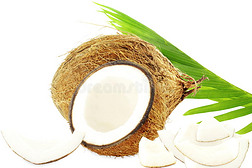 椰子与切割椰子和叶子在纯白色背景
