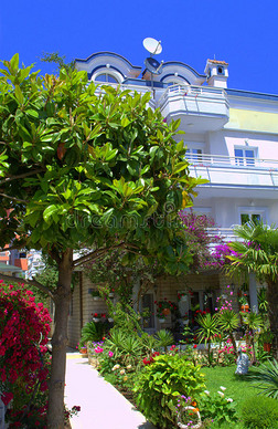 美丽的家庭花园