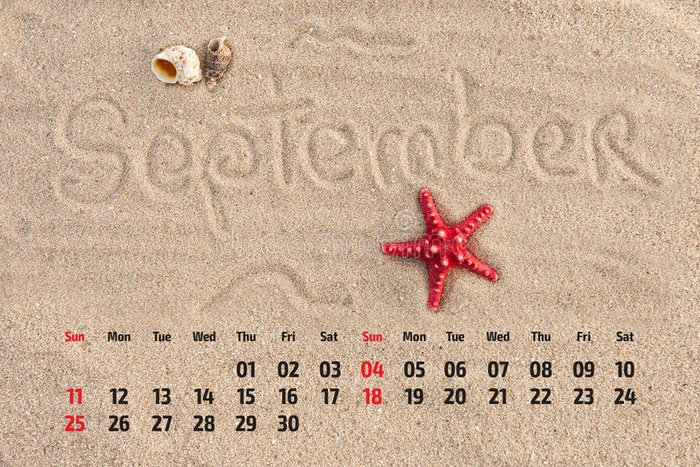 沙滩上有海星和贝壳的日历 Sependem