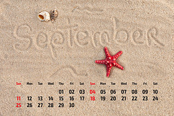 沙滩上有海星和贝壳的日历。 Sependem