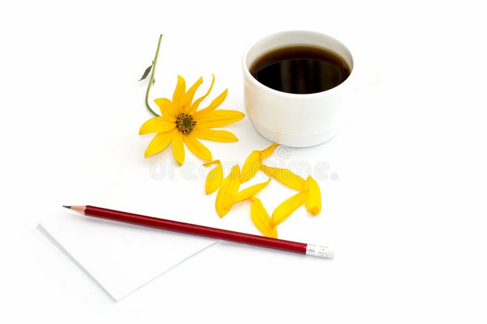一杯咖啡黄花花瓣和带纸的铅笔