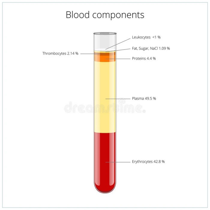 血液成分医学矢量图