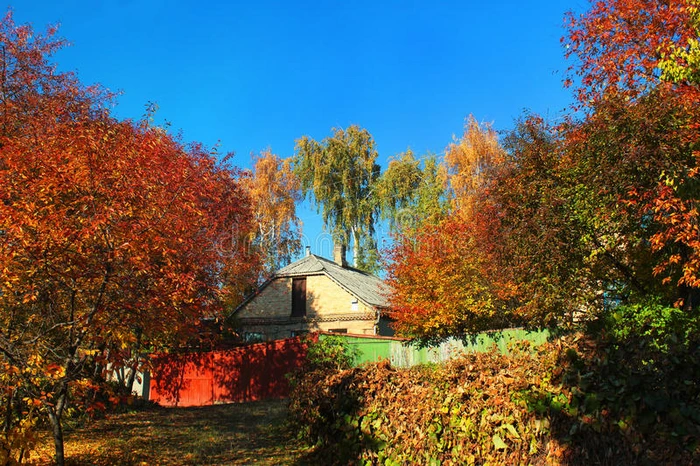 乡村的房子在秋天的阳光下树叶变成橙色
