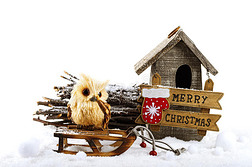 圣诞装饰品：猫头鹰，鸟舍和招牌