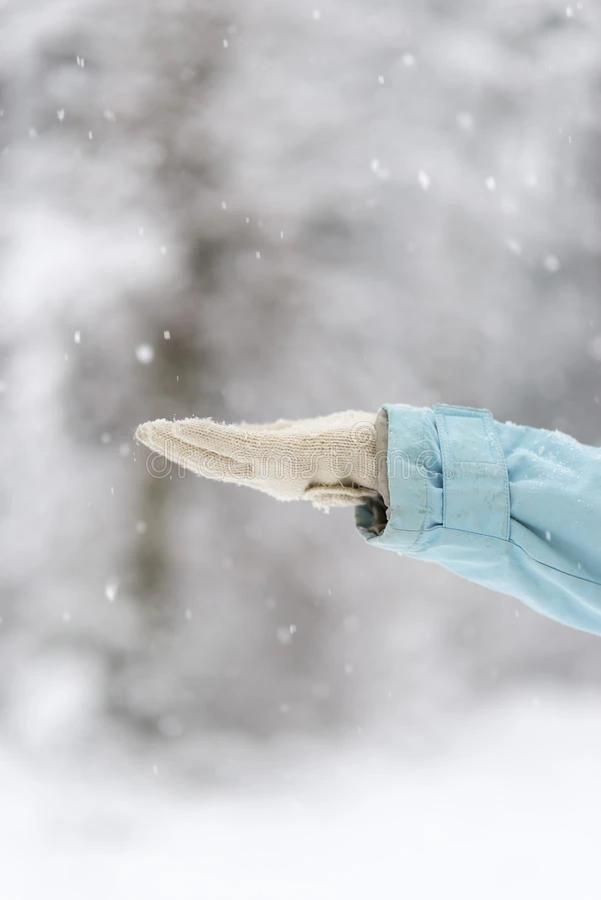 女性手在羊毛手套中捕捉雪花的特写
