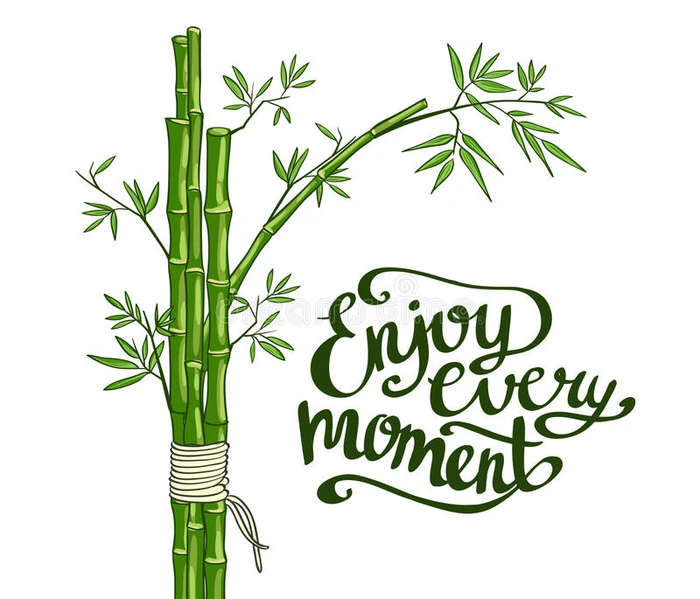 竹子绿色 享受每一刻的卡片
