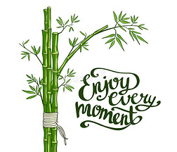 竹子绿色。 享受每一刻的卡片。