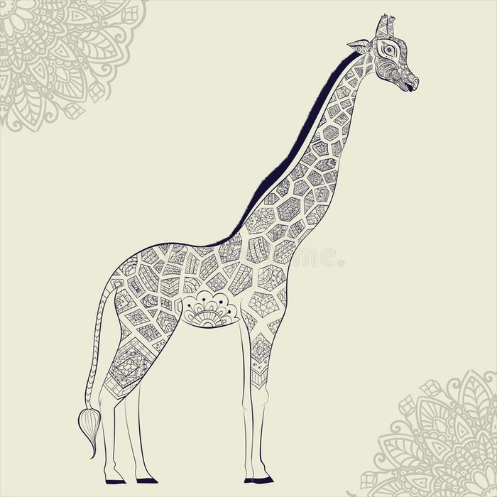 美丽的成年长颈鹿 手绘插图