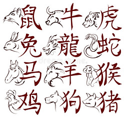 带有象形文字的中国十二生肖