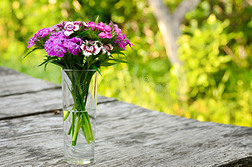 花园里桌子上一束小康乃馨