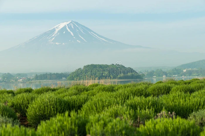 关闭日本富士山