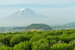 关闭日本富士山