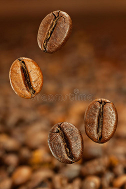 飞咖啡豆