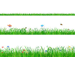 绿色的草地背景与花、蝴蝶和蜜蜂接壤。