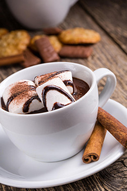 一杯加棉花糖和肉桂的热巧克力.