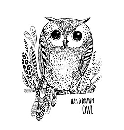 手绘插图专题模板-手绘插图图片素材下载-我图网