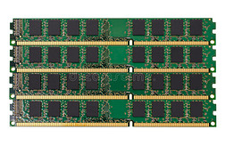 电子收集-计算机随机存取存储器(RAM)模块
