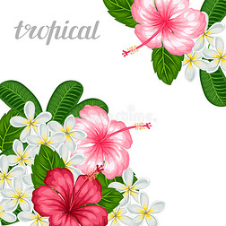 背景与热带花卉芙蓉和李子。 节日邀请函、贺卡、海报的图片