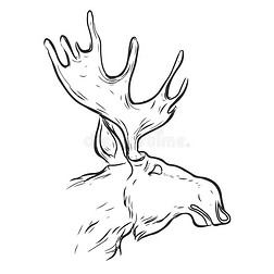 手绘图形驼鹿