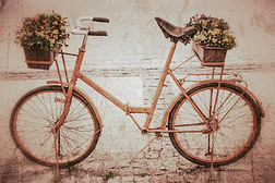 带花自行车