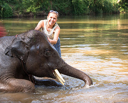 小象在河里洗澡旁边站着一个大象女人抚摸着他
