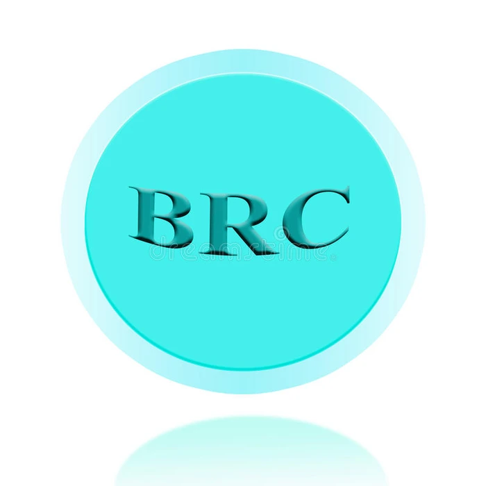具有商业女性的BRC图标或符号图像概念设计