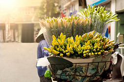 花店小贩早上卖花