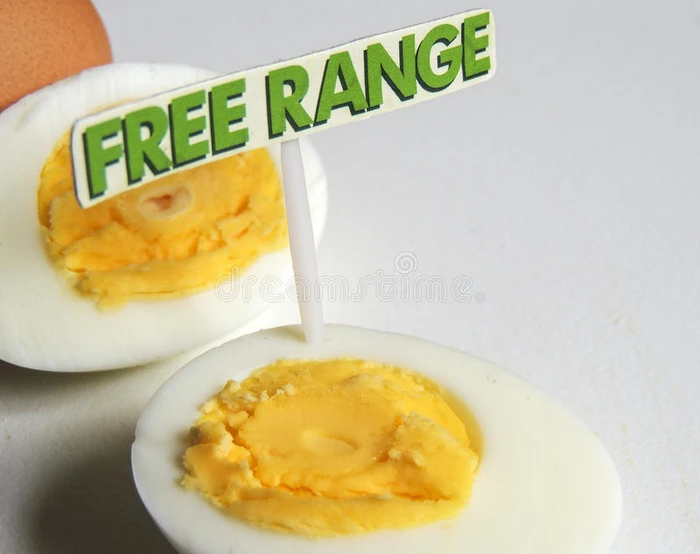 免费范围有机煮熟的鸡蛋