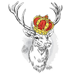 皇冠上漂亮的鹿 矢量插图