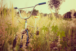 自行车与夏季草地