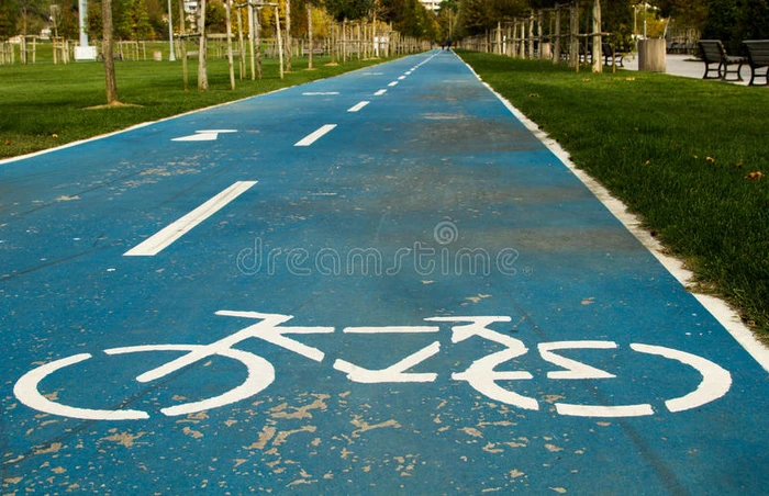 公园里的蓝色自行车路