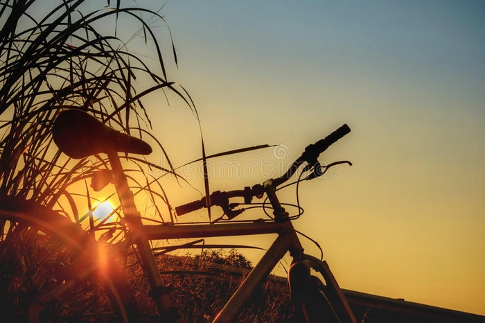 美丽的景观形象与自行车在日落