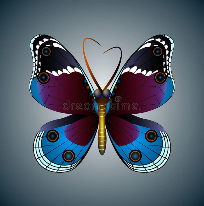 手绘蝴蝶插图 装饰抽象涂鸦设计元素