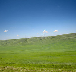 青草和蓝天景观