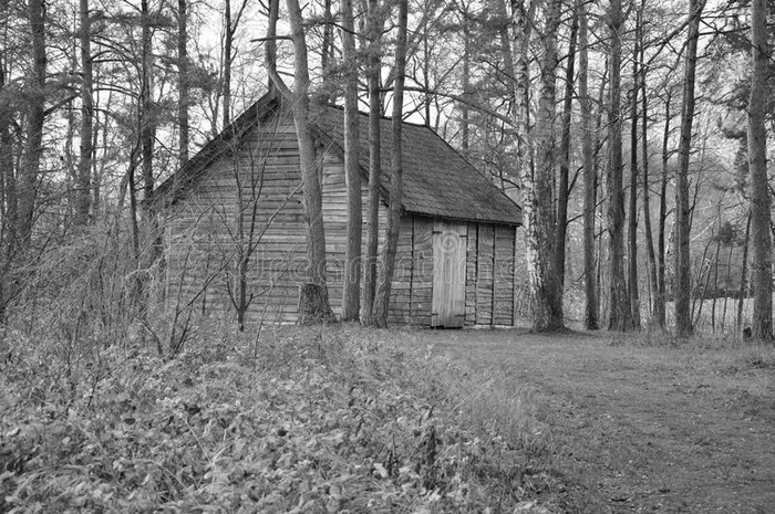 秋天树林里的一座木制建筑黑白相间的形象