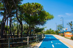 亚得里亚海沿岸的自行车道。 意大利阿得里亚卡市海滨，松树在一旁，夏天阳光明媚。