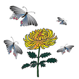 菊花和蝴蝶手绘素描插图。