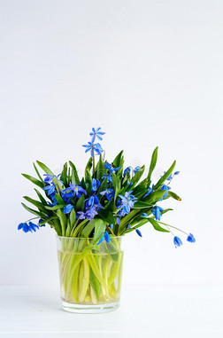 一束嫩嫩的小鳞片，加兰斯蓝色的花，放在一个有水的杯子里