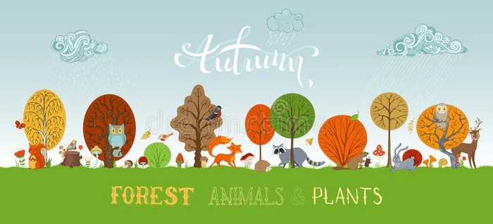 矢量秋森林动物和植物背景采用漫画SaoTomePrincipe圣多美和普林西比