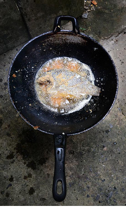 美味的喝醉了的烂醉如泥的鱼